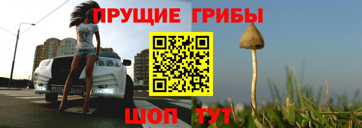 Орск  Псилоцибиновые грибы мухоморы  Вход с VPN 